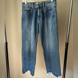 Hidden Denim by Anthropologie Cropped Frayed Hem Jeans Size 29